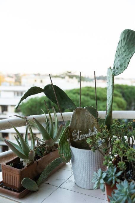 Casa 'Ttaja - Mediterranean Eco-Apartment Róma Kültér fotó